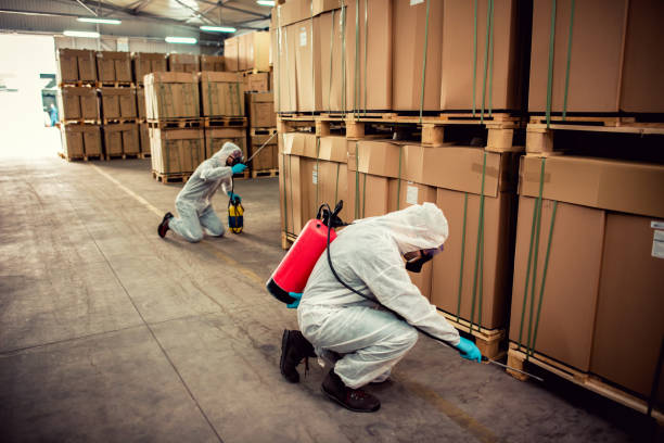 Best Flea Control Services  in Wapakoneta, OH