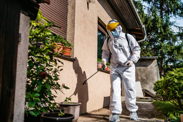 Best Mosquito Control Services  in Wapakoneta, OH