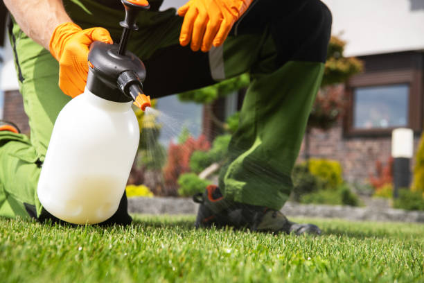 Best Rodent Control Near Me  in Wapakoneta, OH