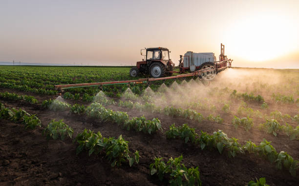Pest Control Cost in Wapakoneta, OH