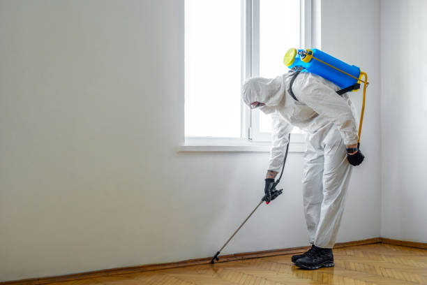 Best Best Pest Control Companies  in Wapakoneta, OH