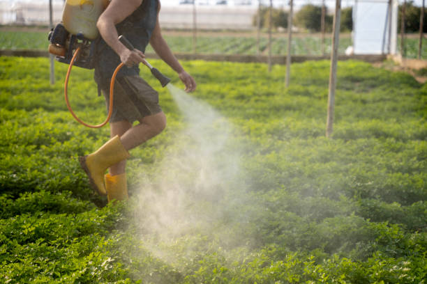 Best Best Pest Control Near Me  in Wapakoneta, OH