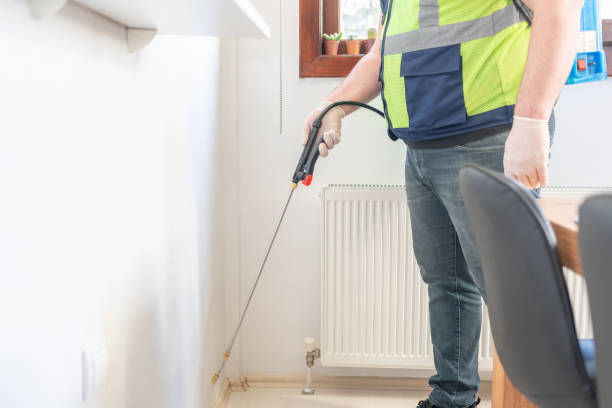 Best Ant Control Services  in Wapakoneta, OH