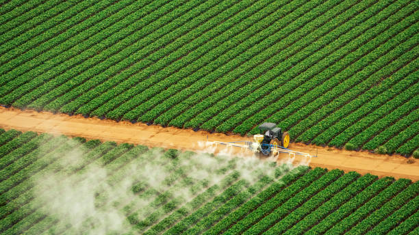 Best Pest Removal Services  in Wapakoneta, OH
