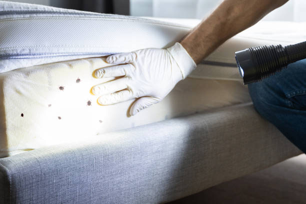 Best Pest Control Near Me in Wapakoneta, OH