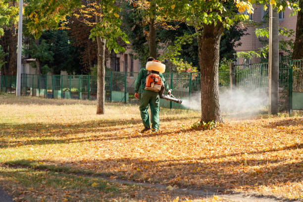 Best Affordable Exterminators  in Wapakoneta, OH