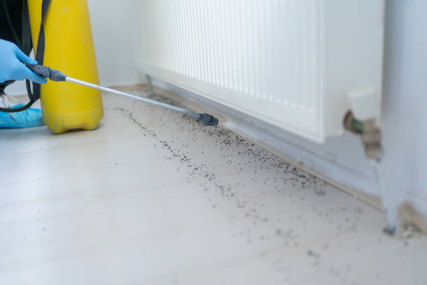 Trusted Wapakoneta, OH Pest Control Experts